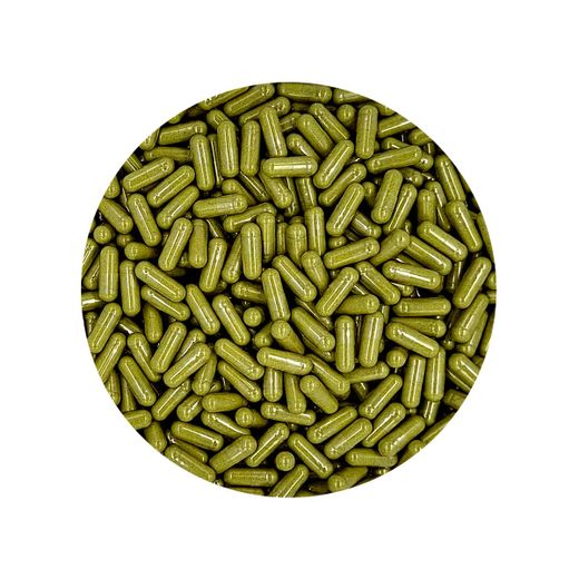 Premium Moringa Capsules Biologisch 500mg