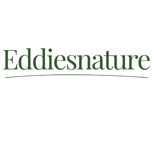 Eddie's Nature