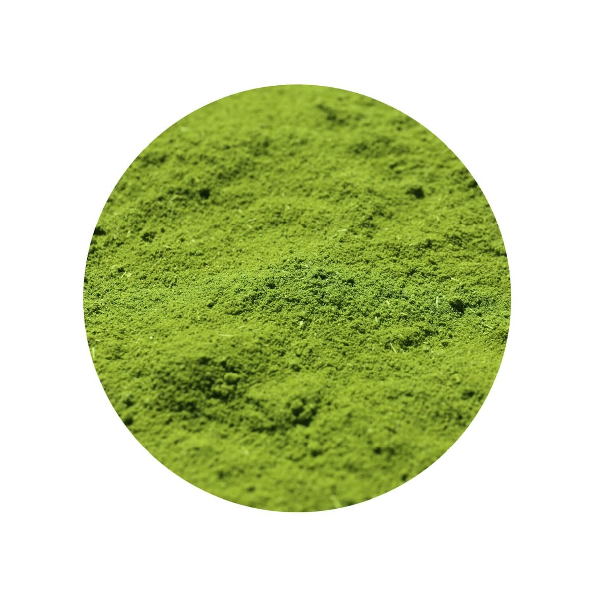 Premium Moringa Poeder Biologisch
